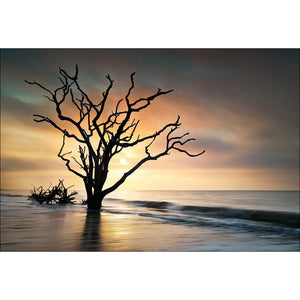 Botany Bay Sunrise