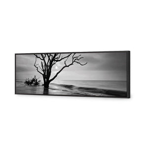 Botany Bay Sunrise, B&W | Standard Canvas | Floating Frame | Black