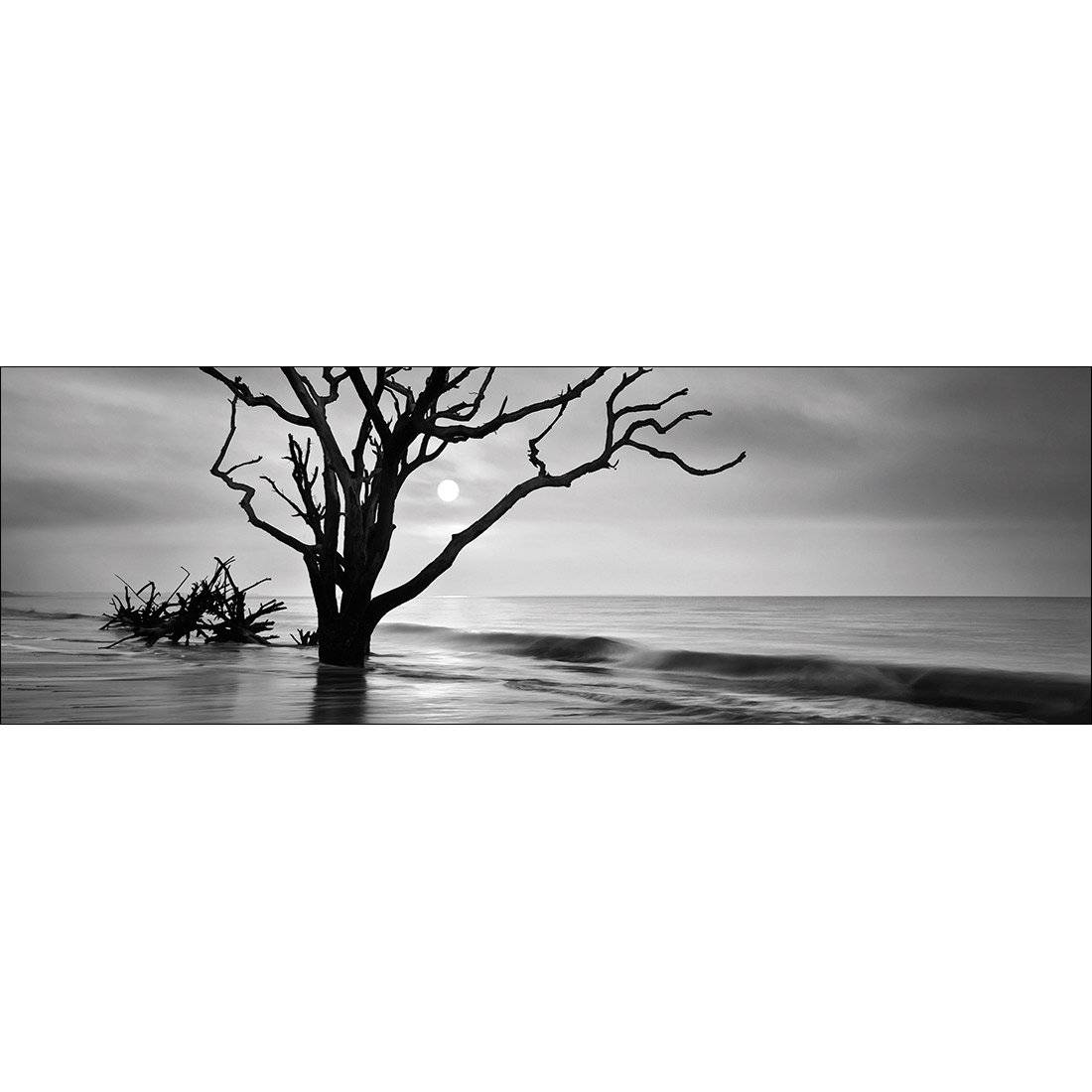 Botany Bay Sunrise, B&W Canvas Art - Wall Art Designs - 2692_BL_H WAD_CP - MPY - 260 - M - S - S_60x20_NONE