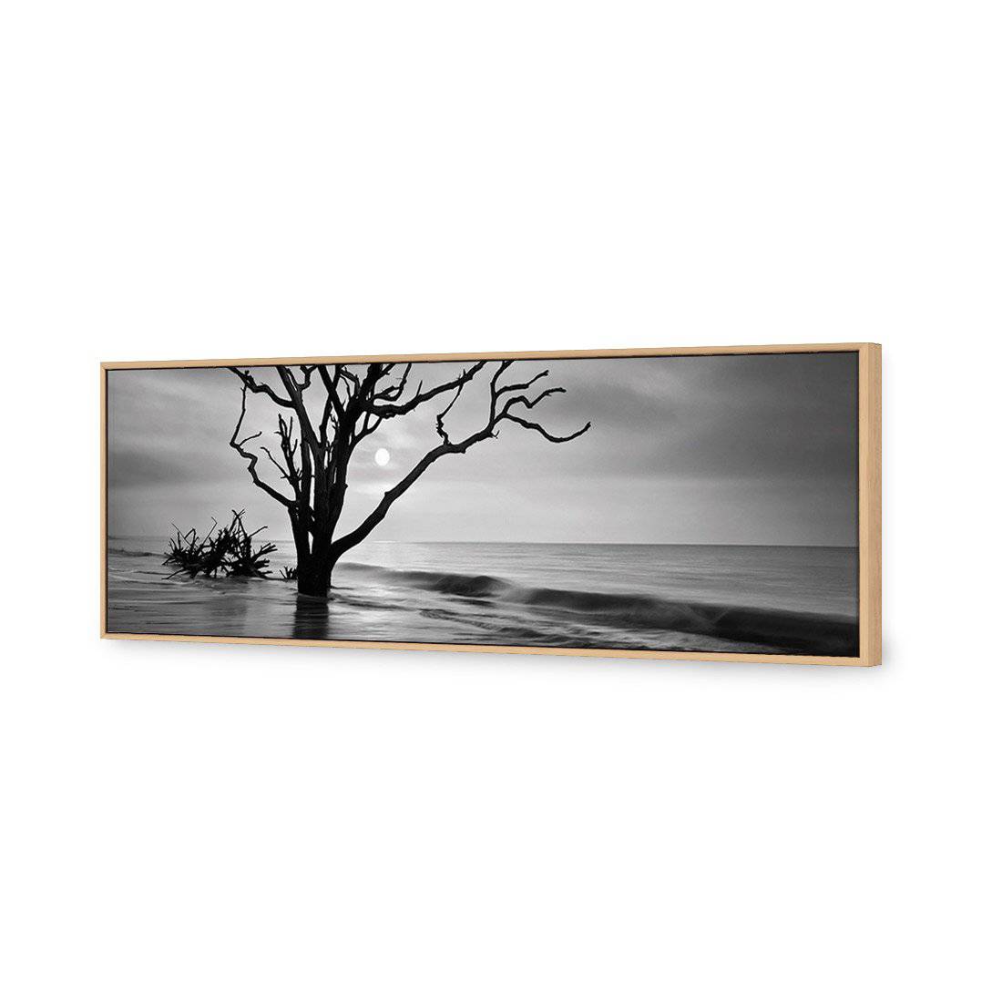 Botany Bay Sunrise, B&W Canvas Art - Wall Art Designs - 2692_BL_H WAD_CP - MPY - 260 - M - S - S_60x20_S - 1550 - OAK