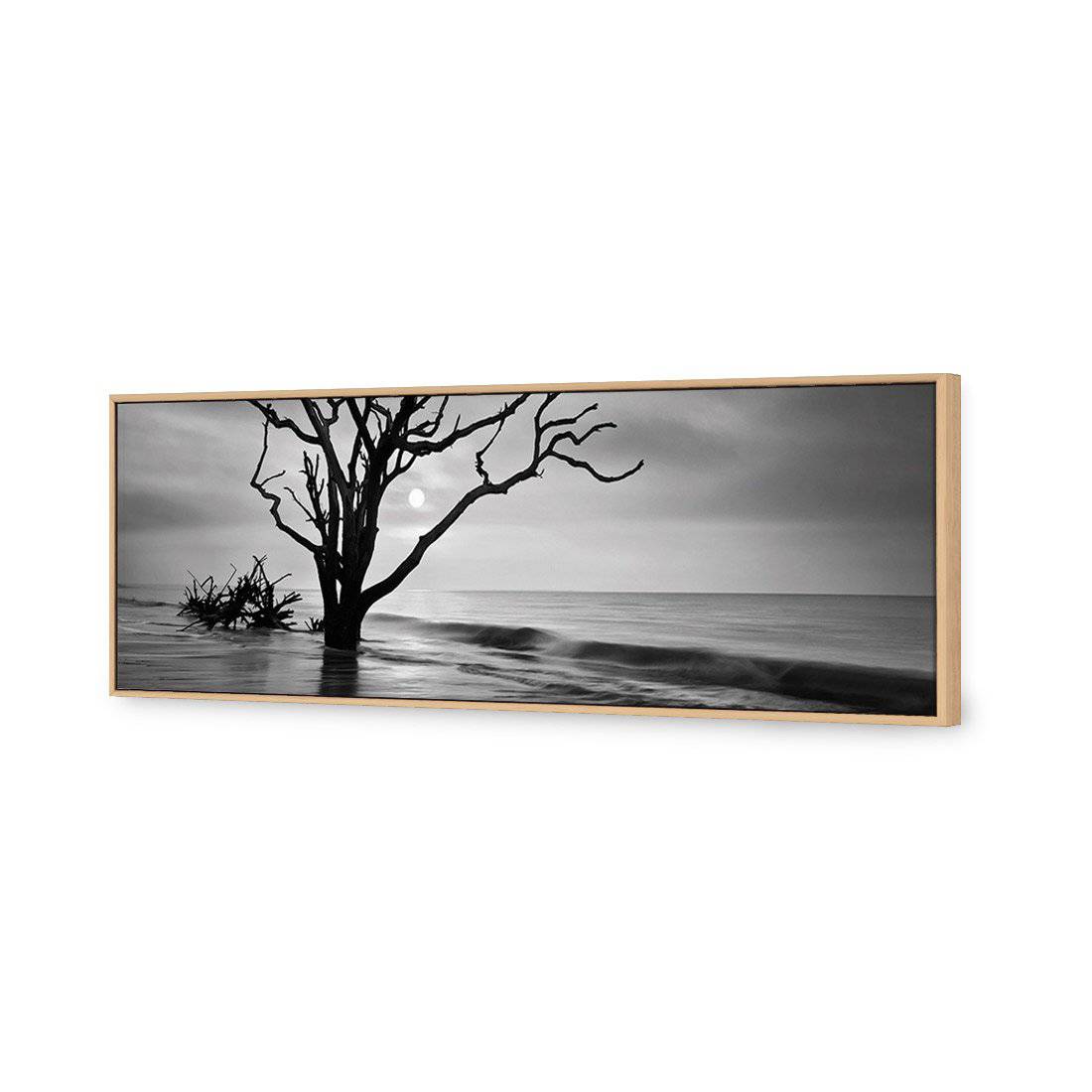 Botany Bay Sunrise, B&W | Standard Canvas | No Frame | Rolled Canvas