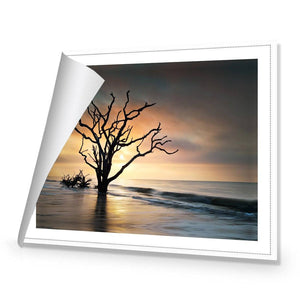 Botany Bay Sunrise | Standard Canvas | No Frame | Rolled Canvas