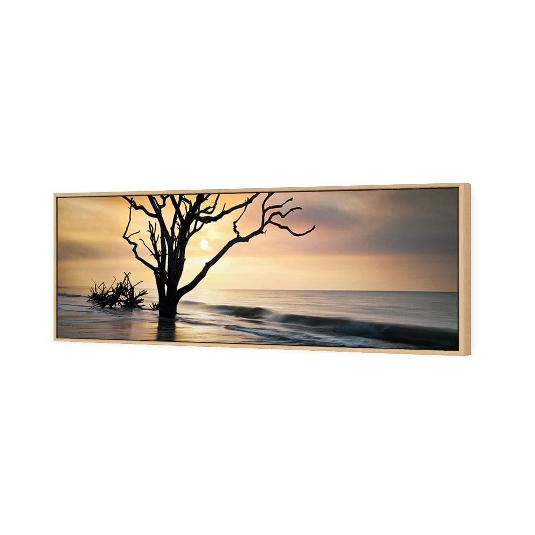 Botany Bay Sunrise (Long) - Wall Art Designs - 2692_AL_H CAF_CP - MPY - 260 - M - S - S_60x20_S - 1550 - OAK