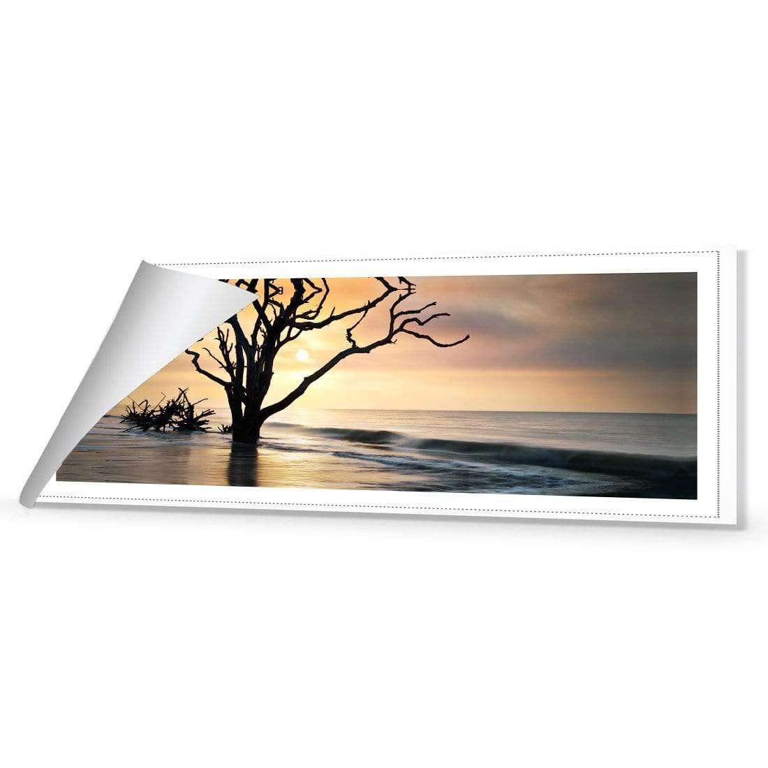 Botany Bay Sunrise (Long) - Wall Art Designs - 2692_AL_H CAF_CP - MPY - 260 - M - R_60x20_NONE