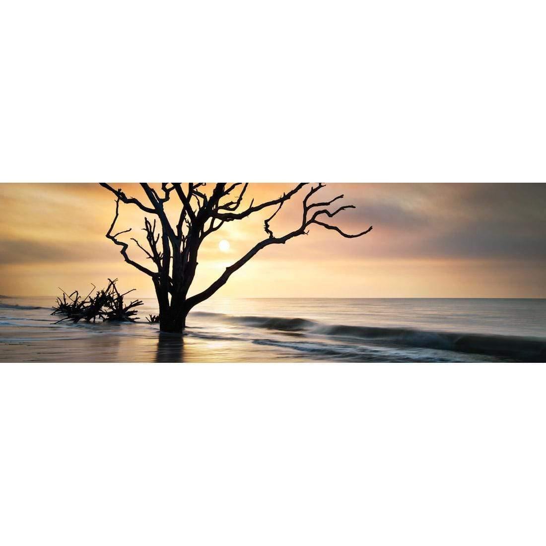 Botany Bay Sunrise (Long) | Classic Canvas | No Frame | Stretched Canvas