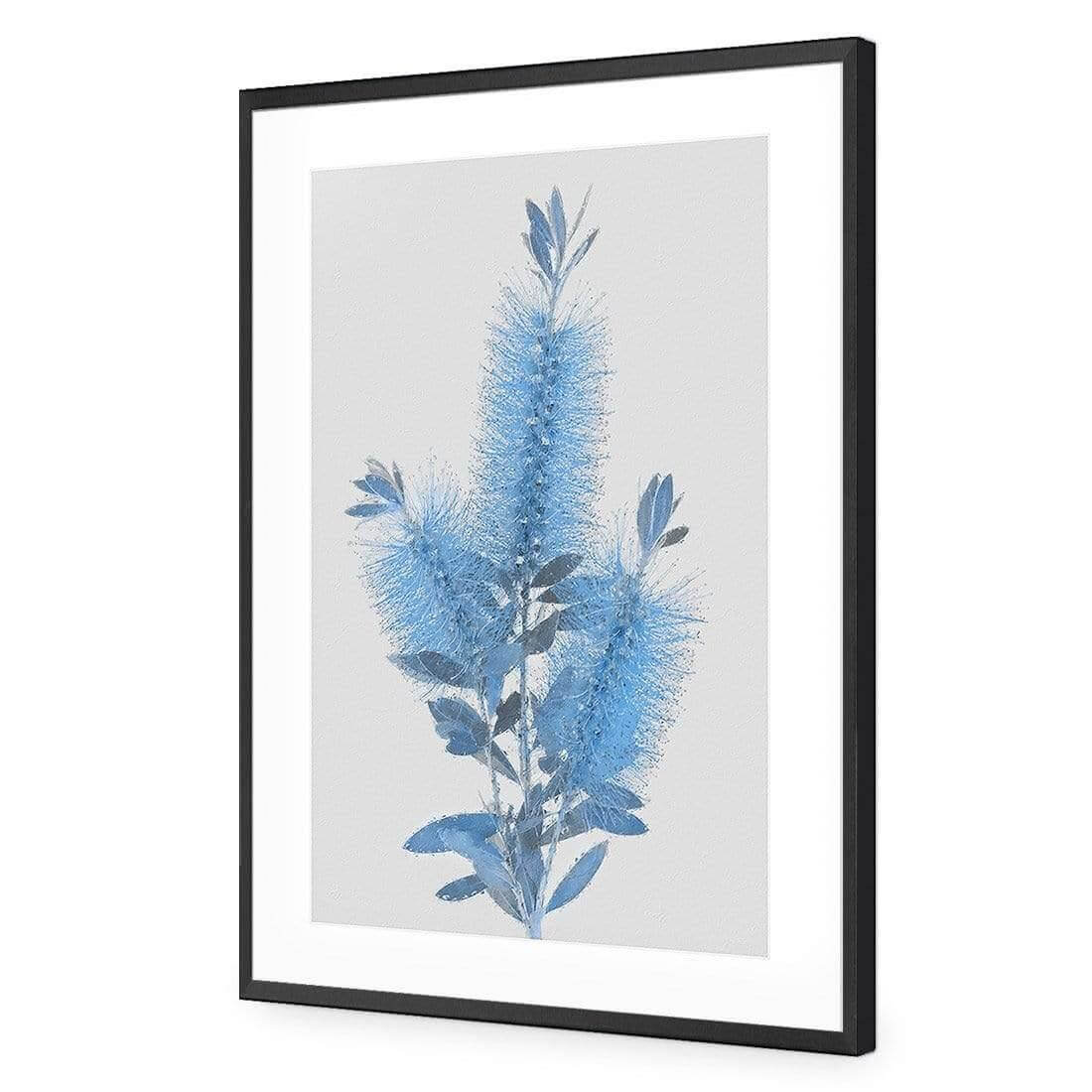 Bottlebrush Abstraction - Wall Art Designs - AU_1096_AR_V WAD_AP - 030 - MAT_45x30_S - 2538 - BLK