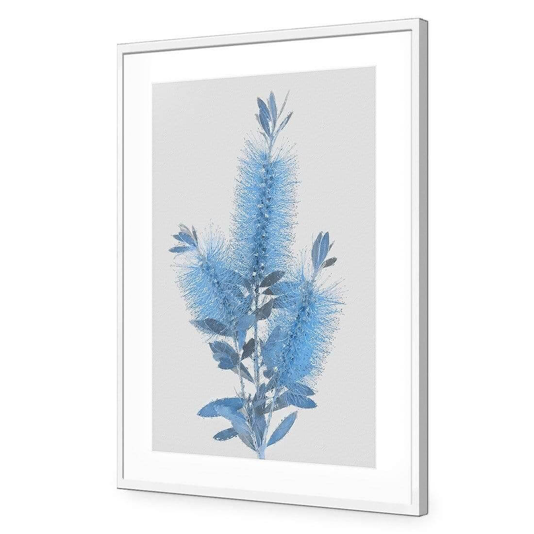 Bottlebrush Abstraction - Wall Art Designs - AU_1096_AR_V WAD_AP - 030 - MAT_45x30_S - 2538 - WHT