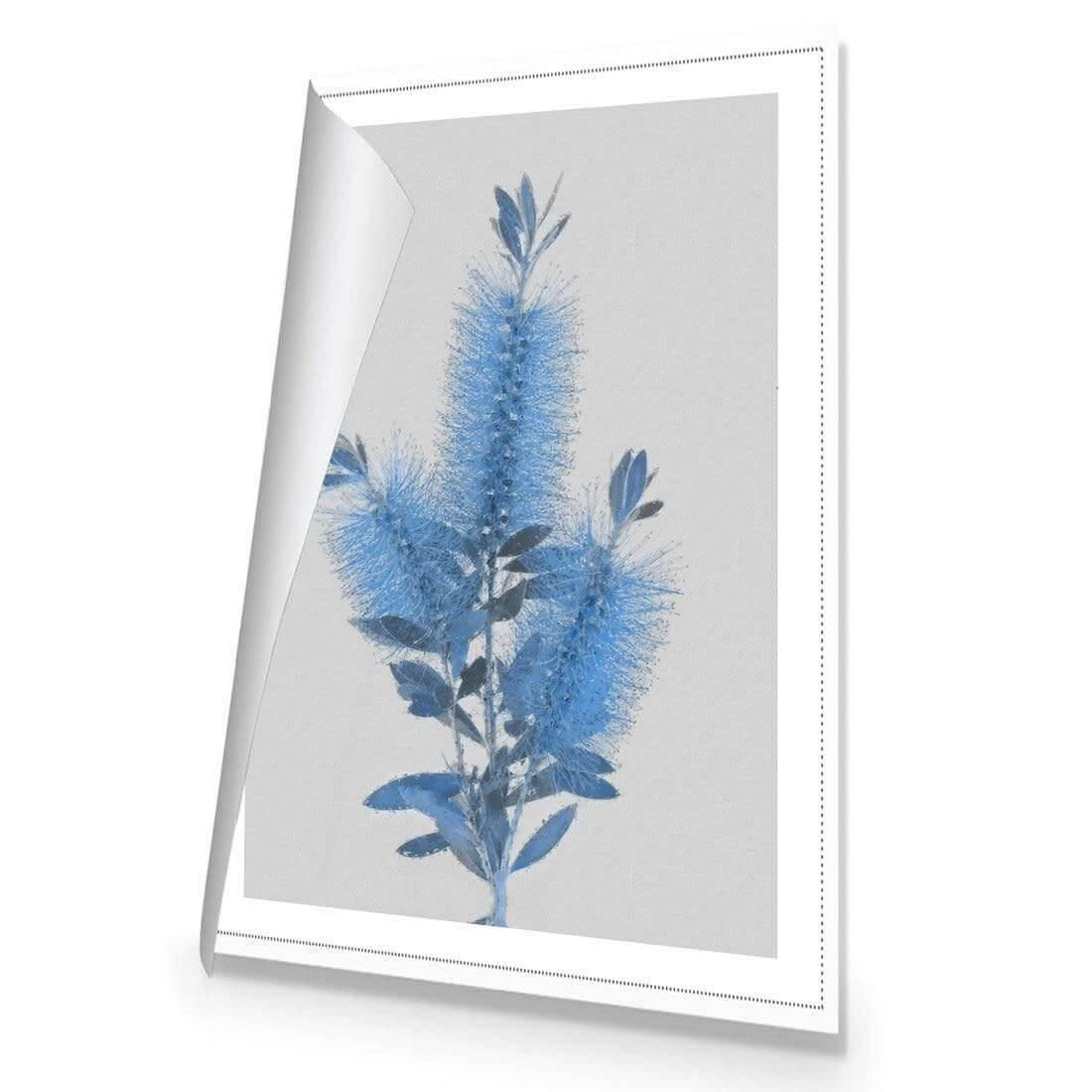 Bottlebrush Abstraction - Wall Art Designs - AU_1096_AR_V WAD_CP - MPY - 260 - M - R_45x30_NONE