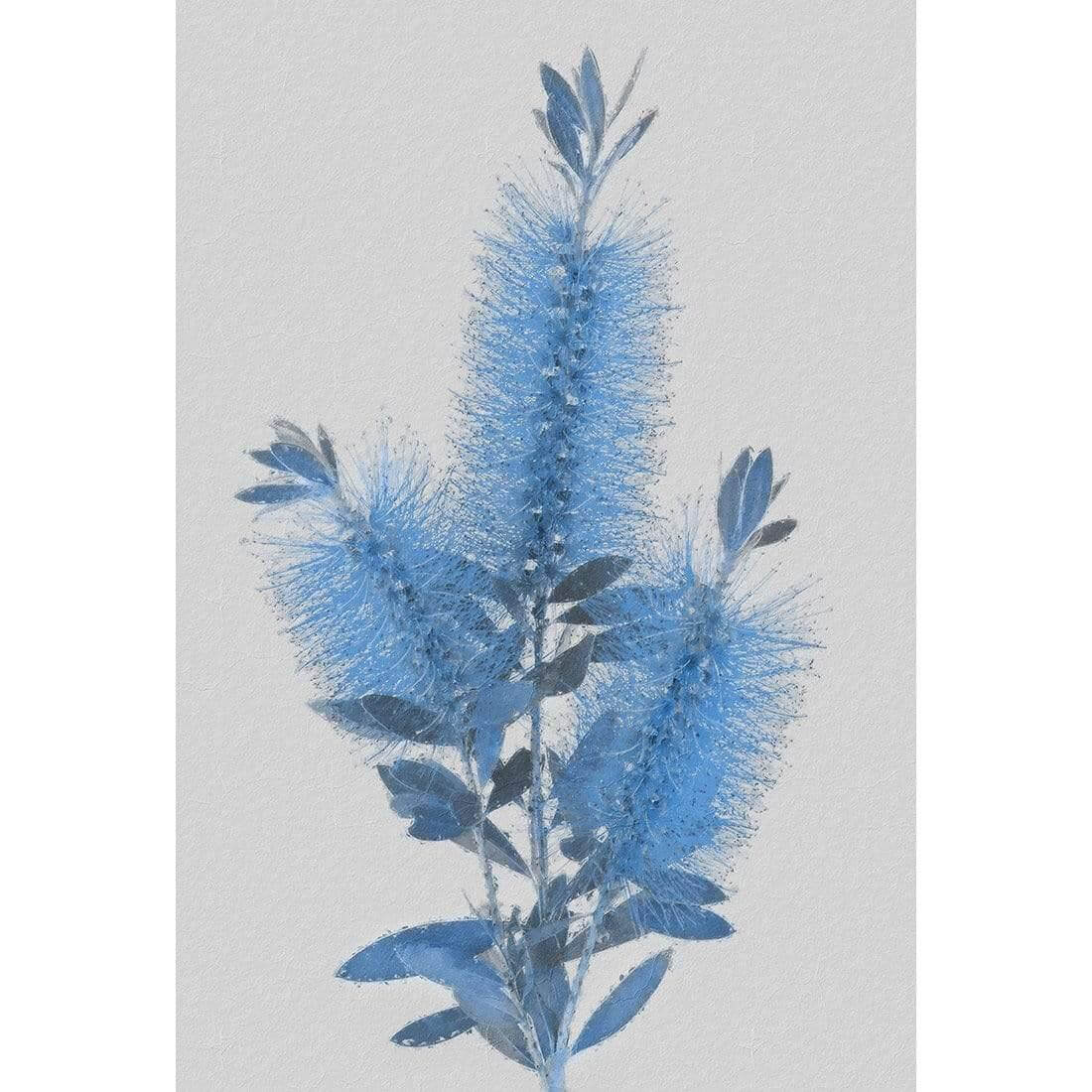 Bottlebrush Abstraction - Wall Art Designs - AU_1096_AR_V WAD_CP - MPY - 260 - M - S - S_45x30_NONE