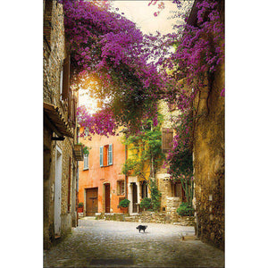 Bougainvillea Alley