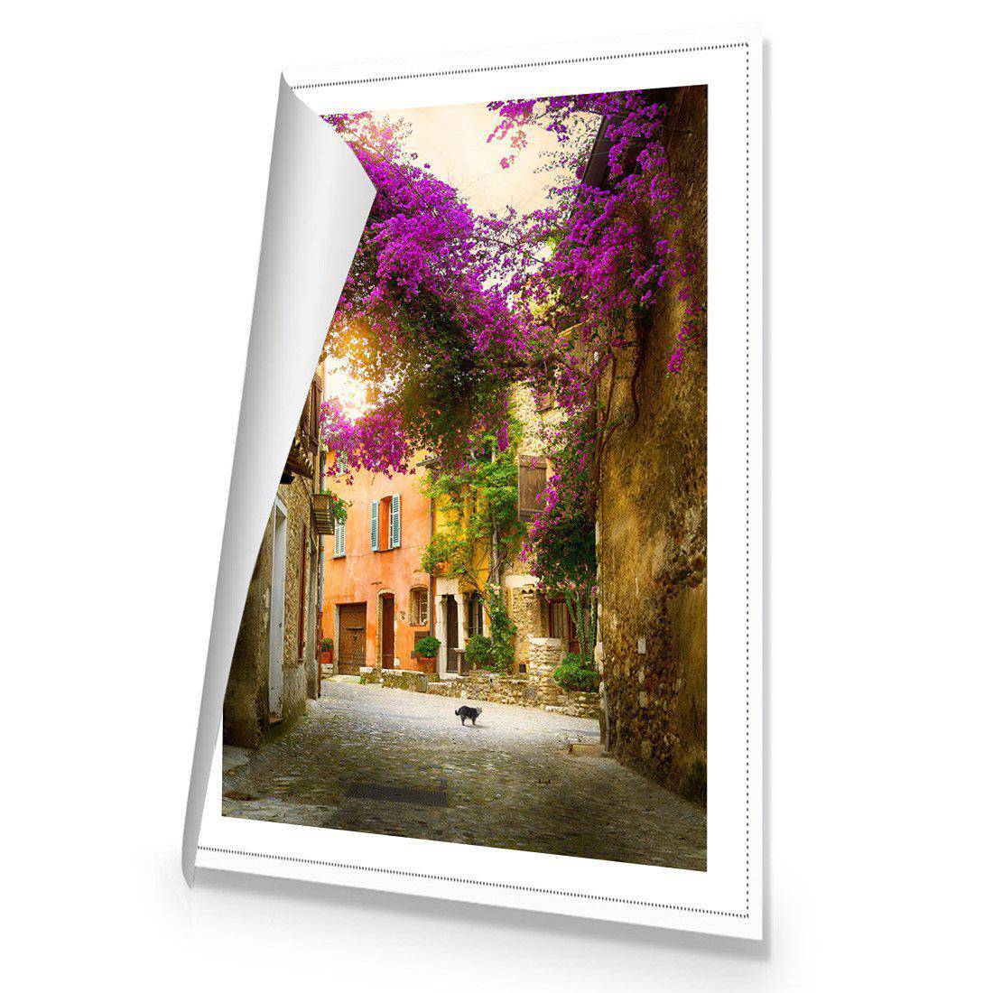 Bougainvillea Alley | Standard Canvas | No Frame | Rolled Canvas