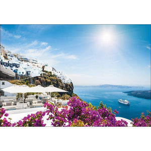 Bougainvillea In Greece