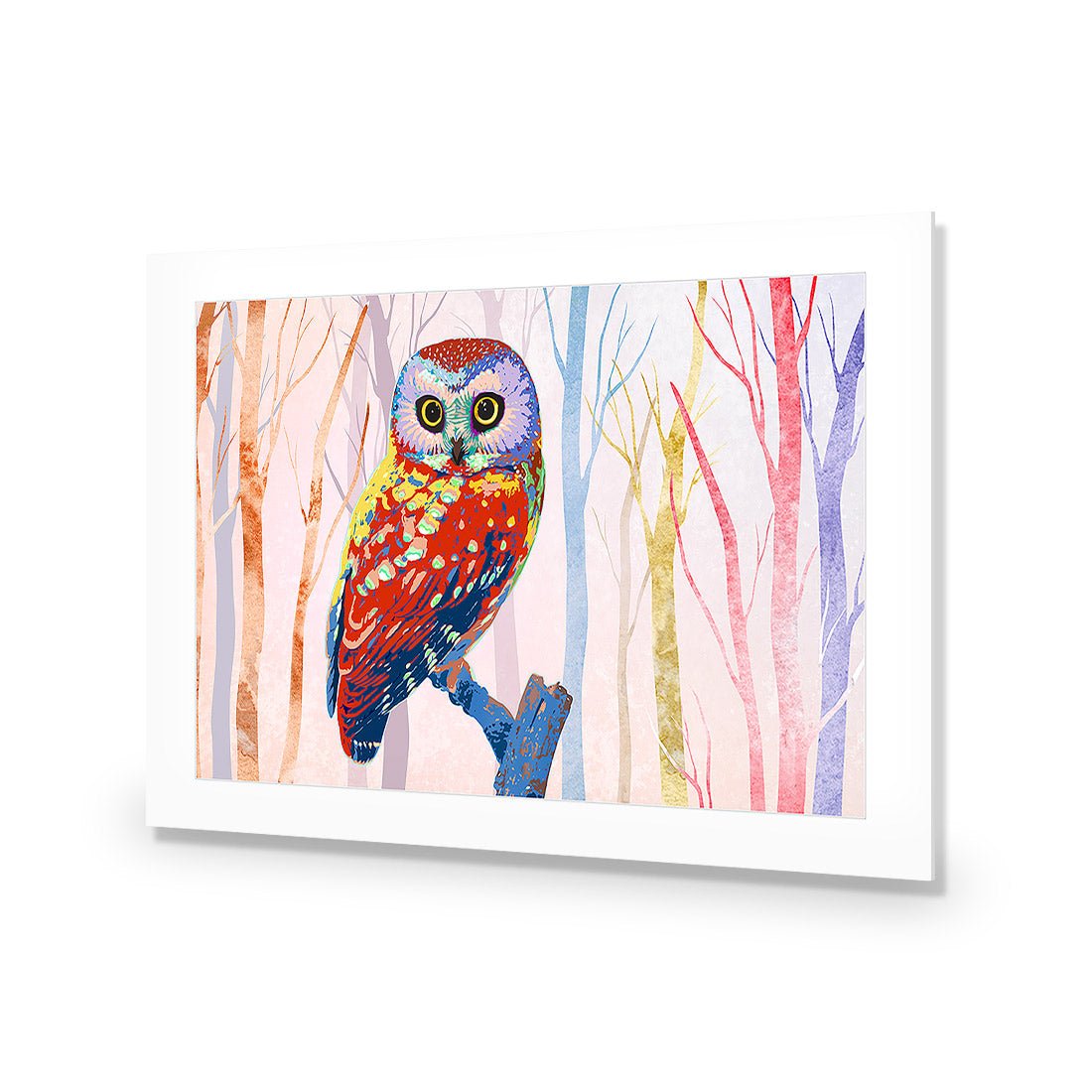 Bright Wise Owl, Light | Standard Acrylic | No Frame With Border