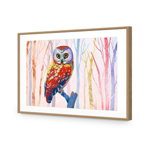 Bright Wise Owl, Light | Standard Acrylic | Flat Frame With Border | Oak