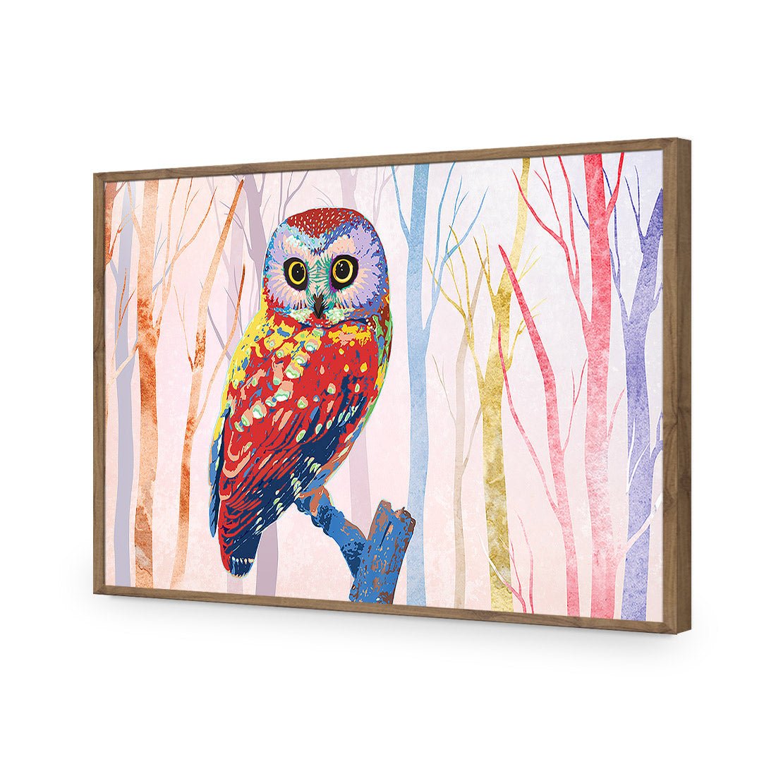 Bright Wise Owl, Light | Standard Acrylic | Flat Frame No Border | Natural