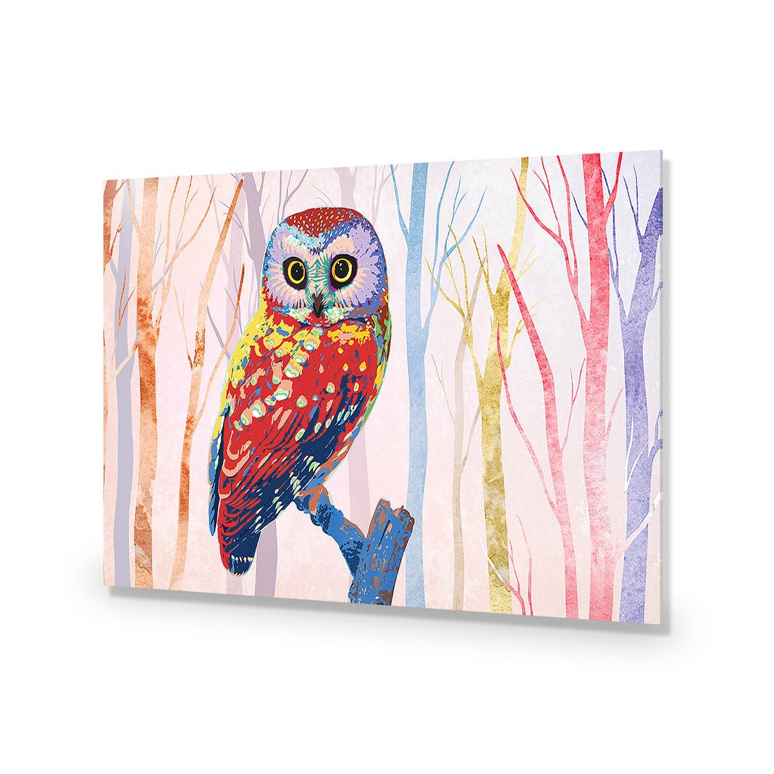 Bright Wise Owl, Light Acrylic Glass Art - Wall Art Designs - 257_DR_H WAD_AP - 030 - EDG_45x30_NONE