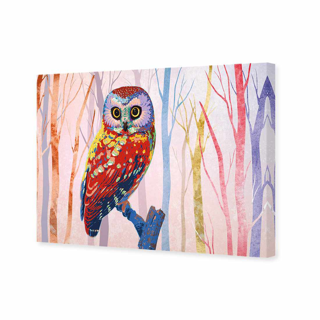 Bright Wise Owl, Light Canvas Art - Wall Art Designs - 257_DR_H WAD_CP - MPY - 260 - M - S - S_45x30_NONE