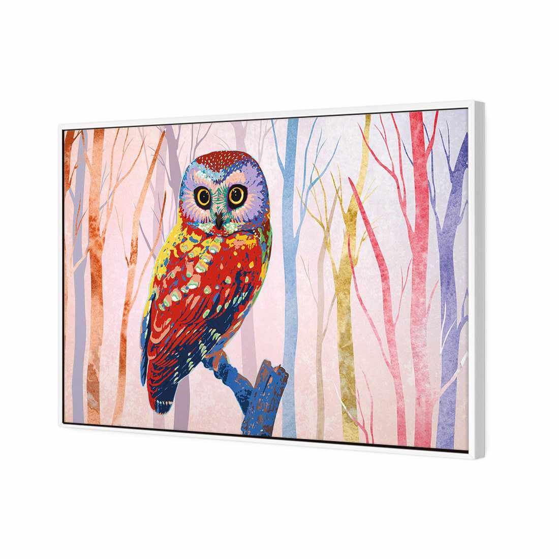 Bright Wise Owl, Light | Standard Canvas | Floating Frame | White