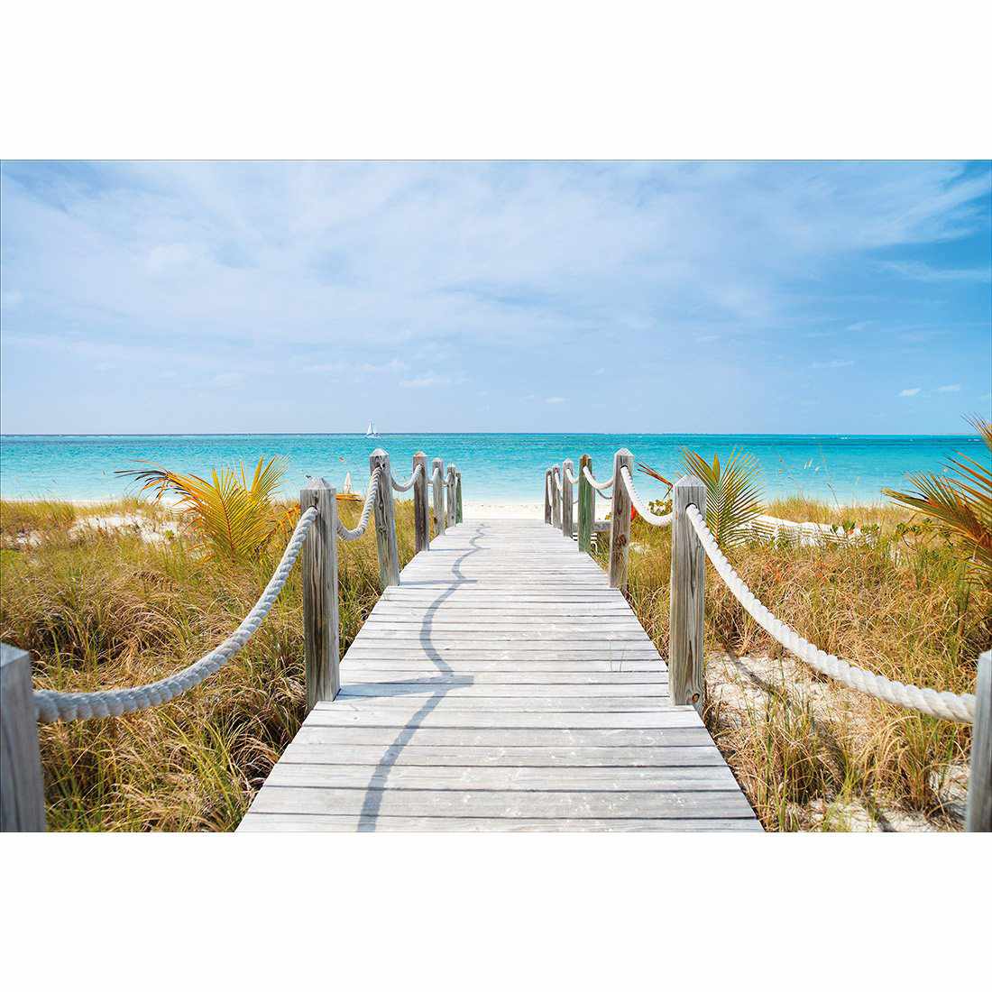 Caicos Island Canvas Art - Wall Art Designs - 3363_AR_H WAD_CP - MPY - 260 - M - S - S_45x30_NONE