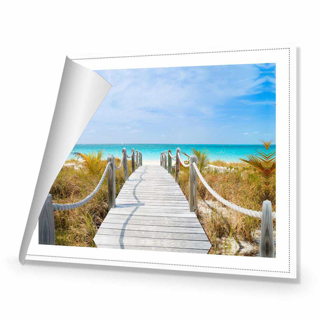 Caicos Island | Standard Canvas | No Frame | Rolled Canvas