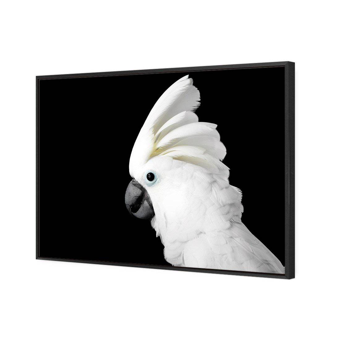 Cassie the Cockatoo Canvas Art - Wall Art Designs - 3103_AR_H WAD_CP - MPY - 260 - M - S - S_45x30_S - 1550 - BLK