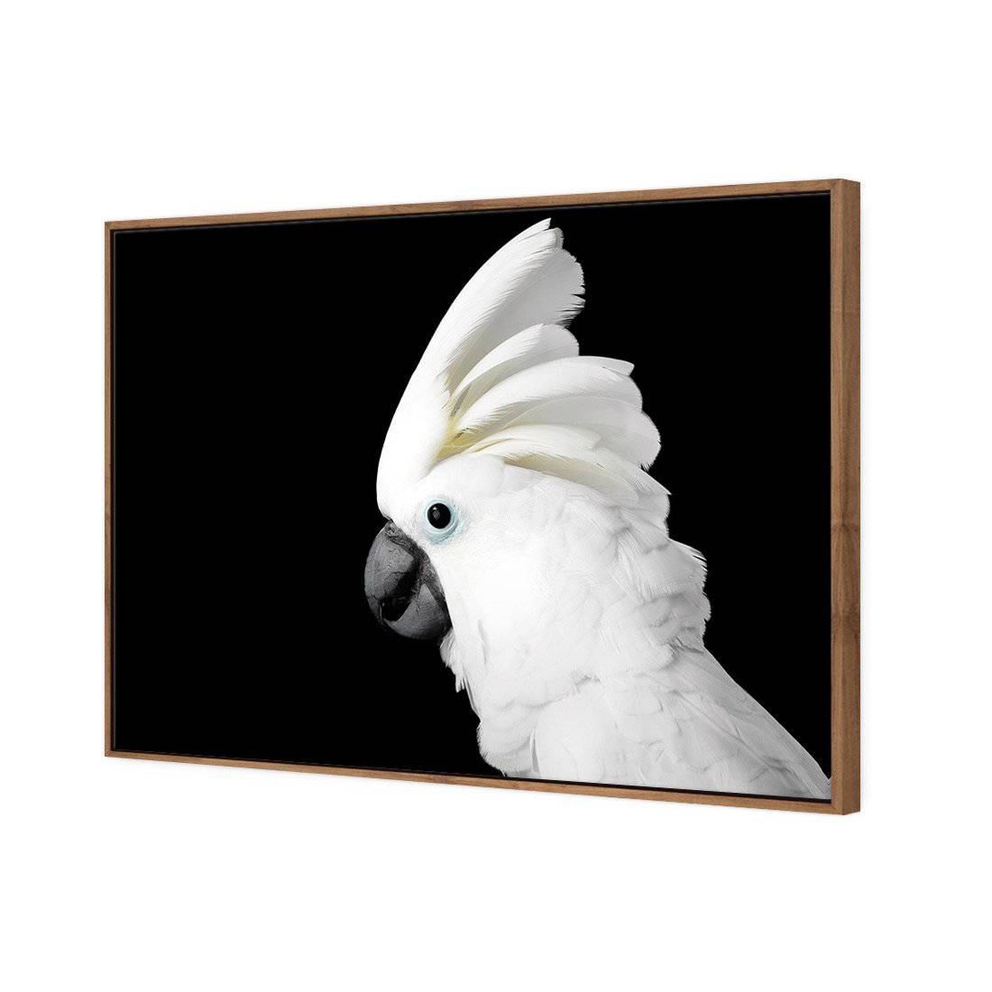 Cassie the Cockatoo | Standard Canvas | Floating Frame | Natural
