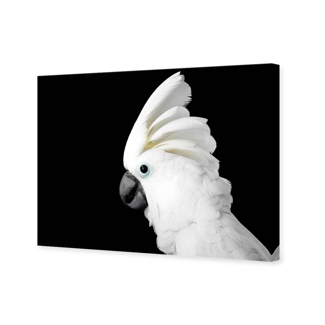 Cassie the Cockatoo Canvas Art - Wall Art Designs - 3103_AR_H WAD_CP - MPY - 260 - M - S - S_45x30_NONE