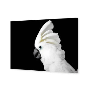 Cassie the Cockatoo | Standard Canvas | No Frame | Stretched Canvas