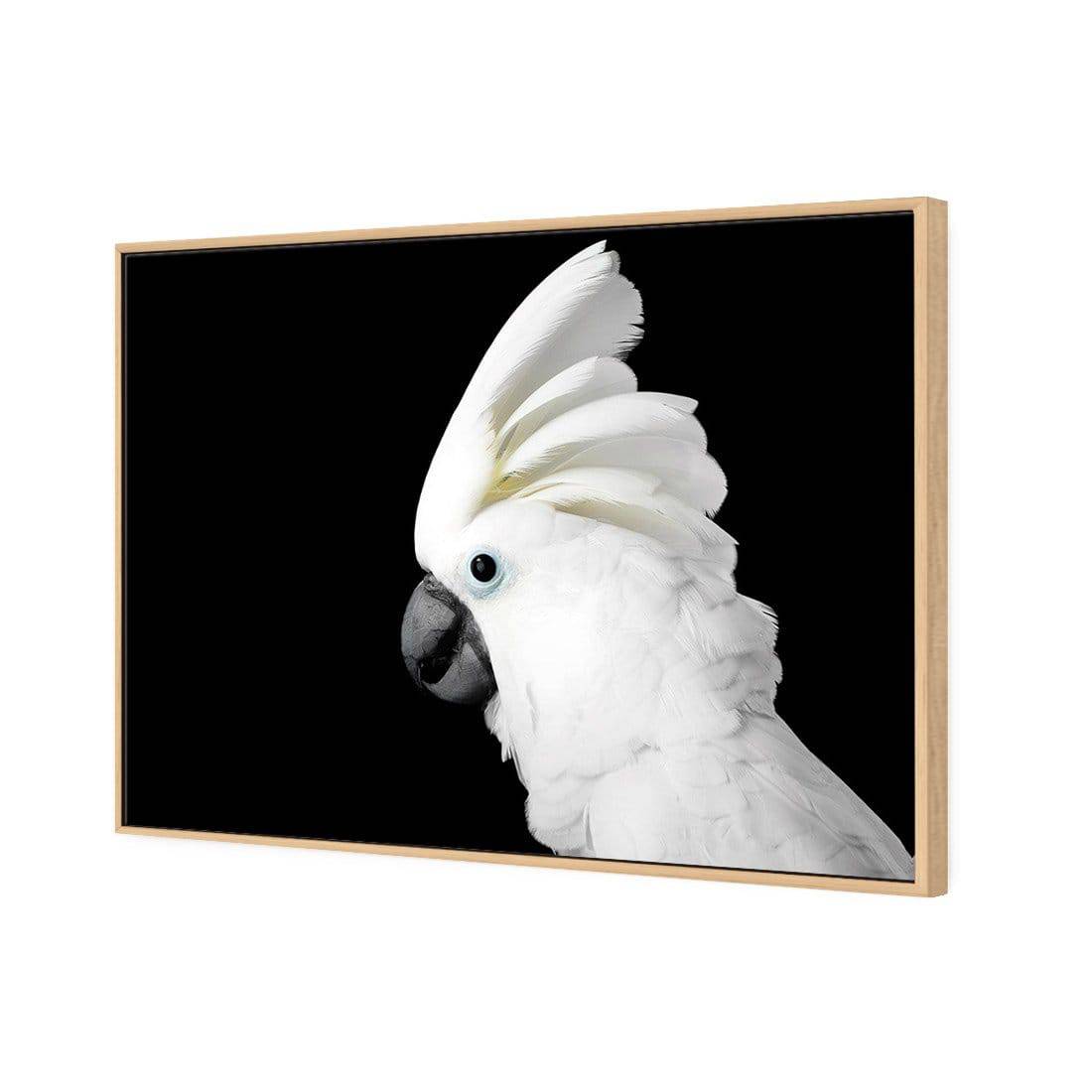 Cassie the Cockatoo Canvas Art - Wall Art Designs - 3103_AR_H WAD_CP - MPY - 260 - M - S - S_45x30_S - 1550 - OAK