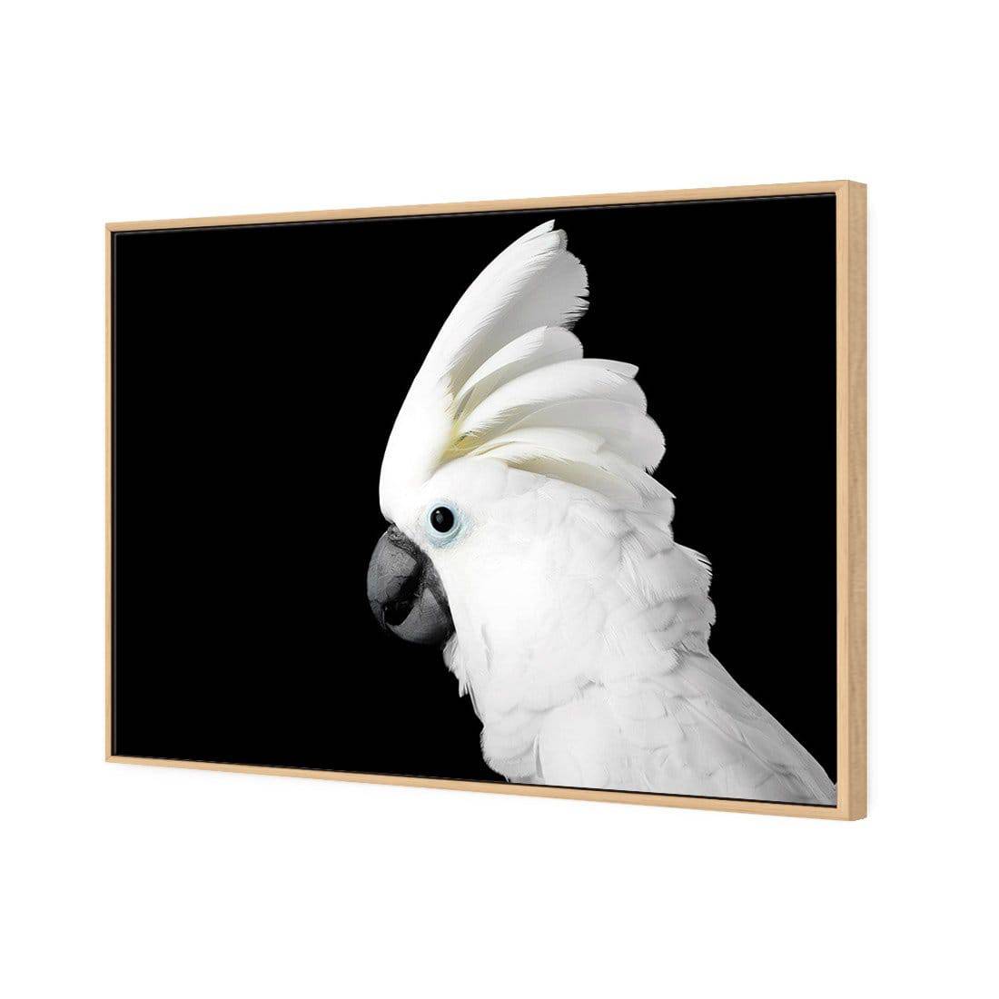 Cassie the Cockatoo | Standard Canvas | Floating Frame | Oak