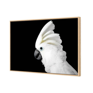 Cassie the Cockatoo | Standard Canvas | Floating Frame | Oak