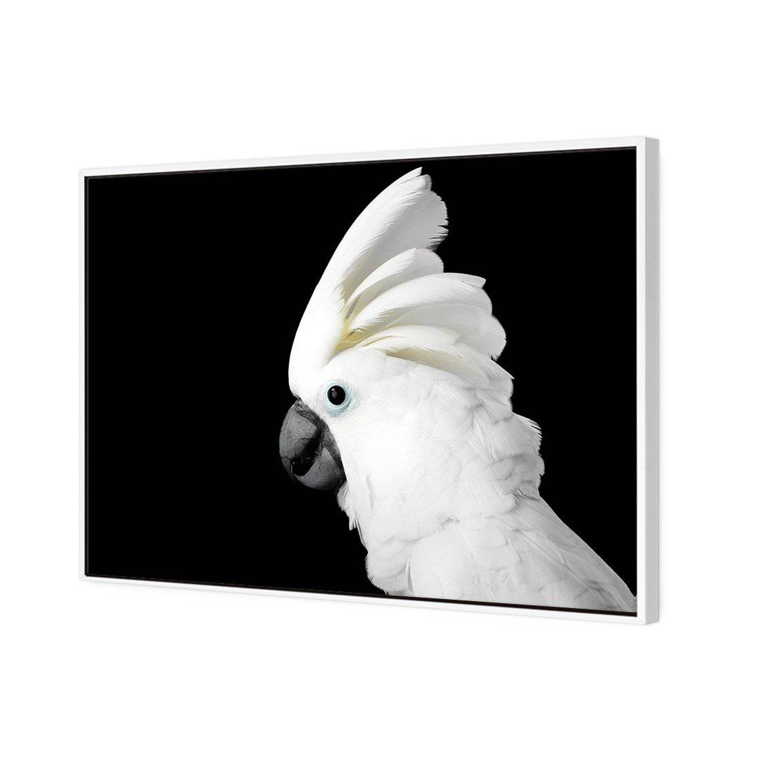 Cassie the Cockatoo Canvas Art - Wall Art Designs - 3103_AR_H WAD_CP - MPY - 260 - M - S - S_45x30_S - 1550 - WHT