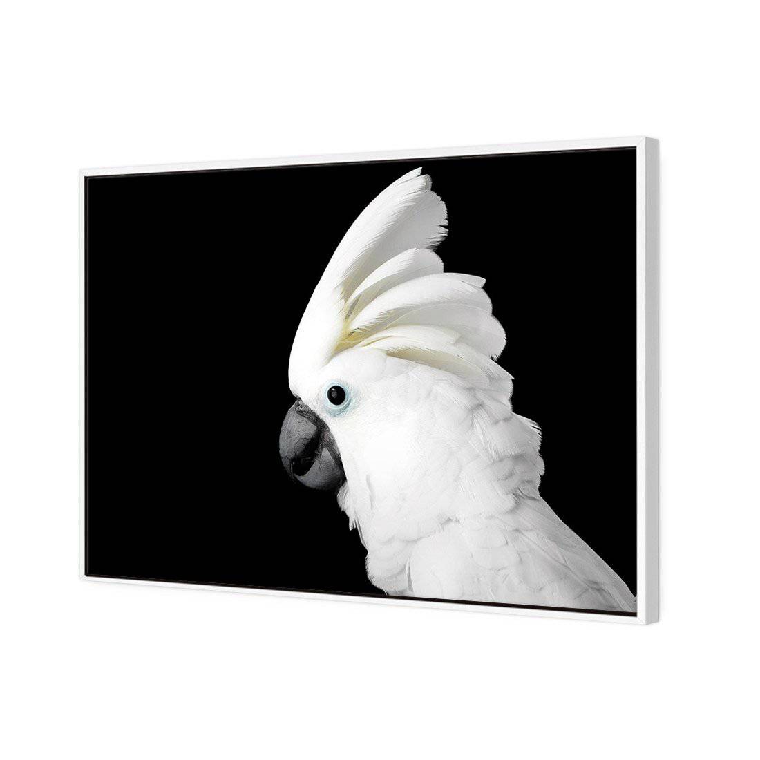 Cassie the Cockatoo | Standard Canvas | Floating Frame | White