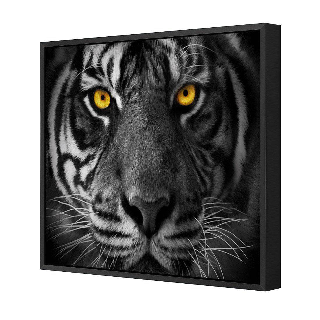 Cat Stare | Standard Canvas | Floating Frame | Black