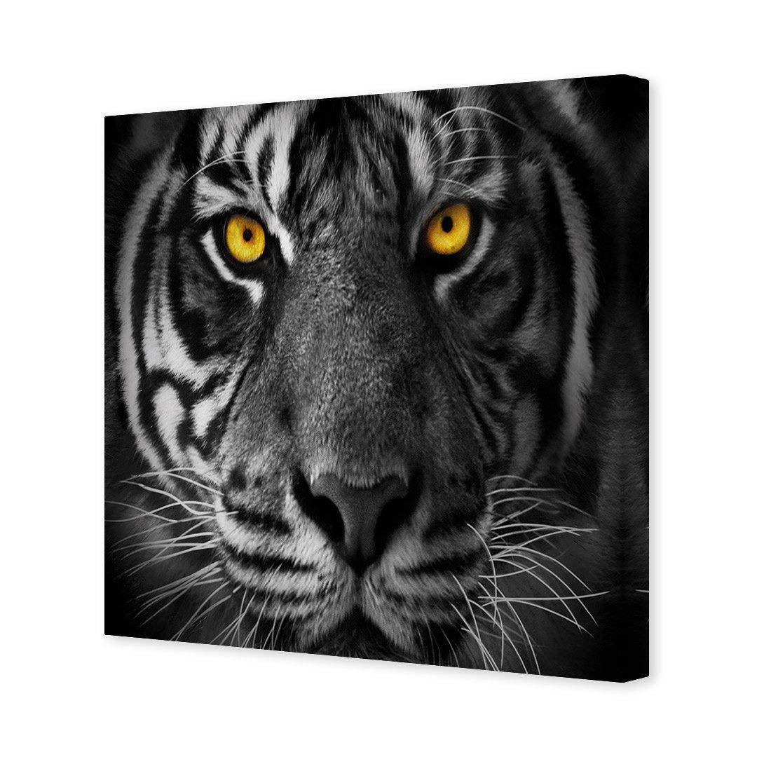 Cat Stare Canvas Art - Wall Art Designs - 3048_AS_Q WAD_CP - MPY - 260 - M - S - S_30x30_NONE