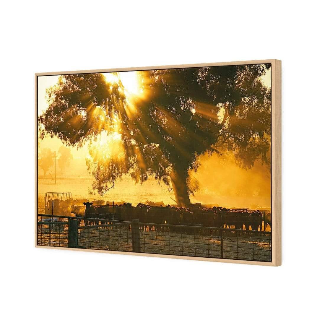 Cattle Ranch - Wall Art Designs - 1451_AR_H WAD_CP - MPY - 260 - M - S - S_45x30_S - 1550 - OAK