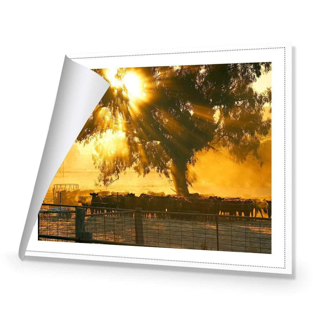 Cattle Ranch - Wall Art Designs - 1451_AR_H WAD_CP - MPY - 260 - M - R_45x30_NONE