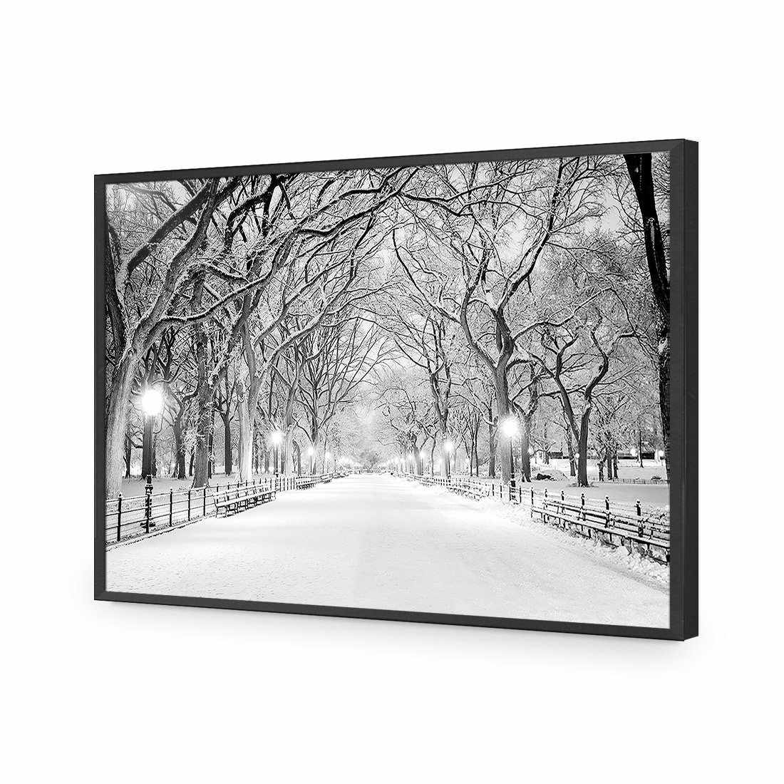 Central Park Dawn in Snow | Classic Acrylic | Flat Frame No Border | Black