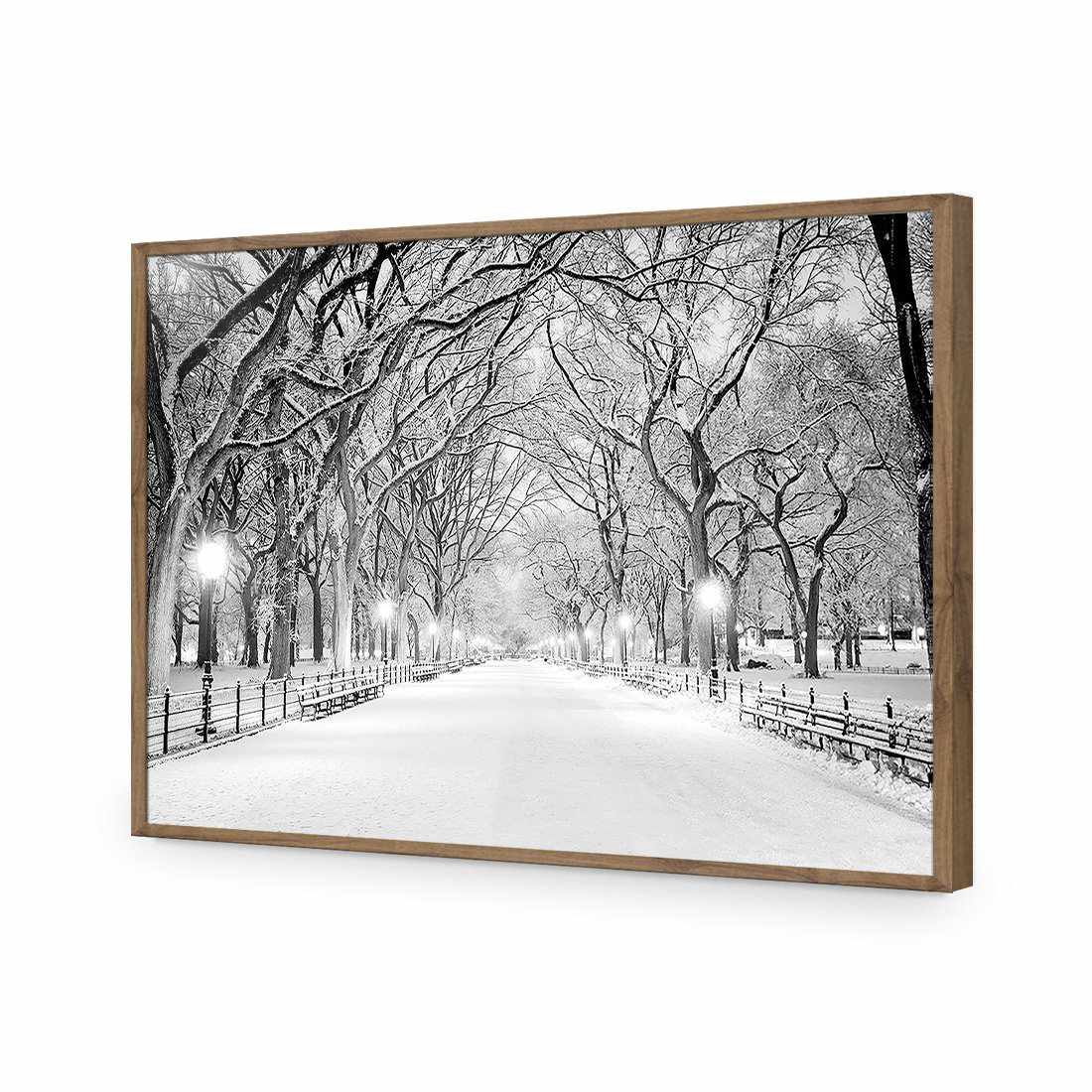 Central Park Dawn in Snow | Classic Acrylic | Flat Frame No Border | Natural