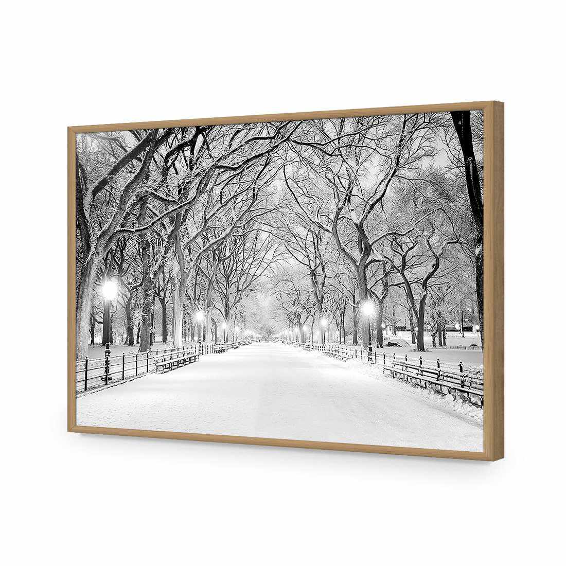Central Park Dawn in Snow | Classic Acrylic | Flat Frame No Border | Oak
