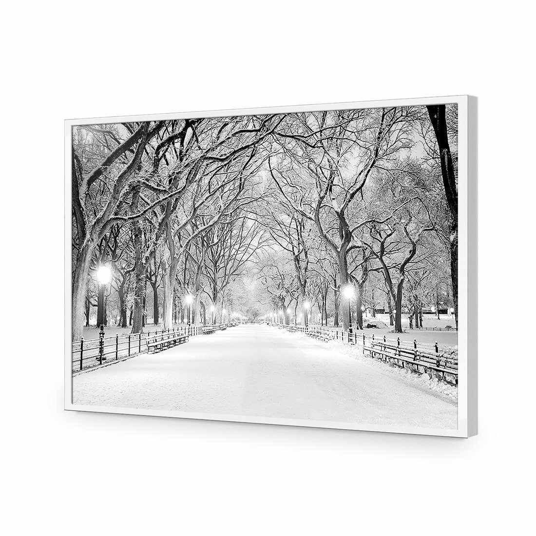 Central Park Dawn in Snow | Classic Acrylic | Flat Frame No Border | White