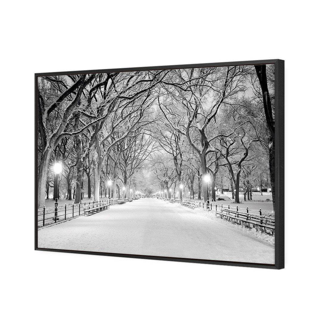 Central Park Dawn in Snow | Standard Canvas | Floating Frame | Black