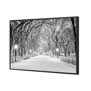 Central Park Dawn in Snow | Classic Canvas | Floating Frame | Black