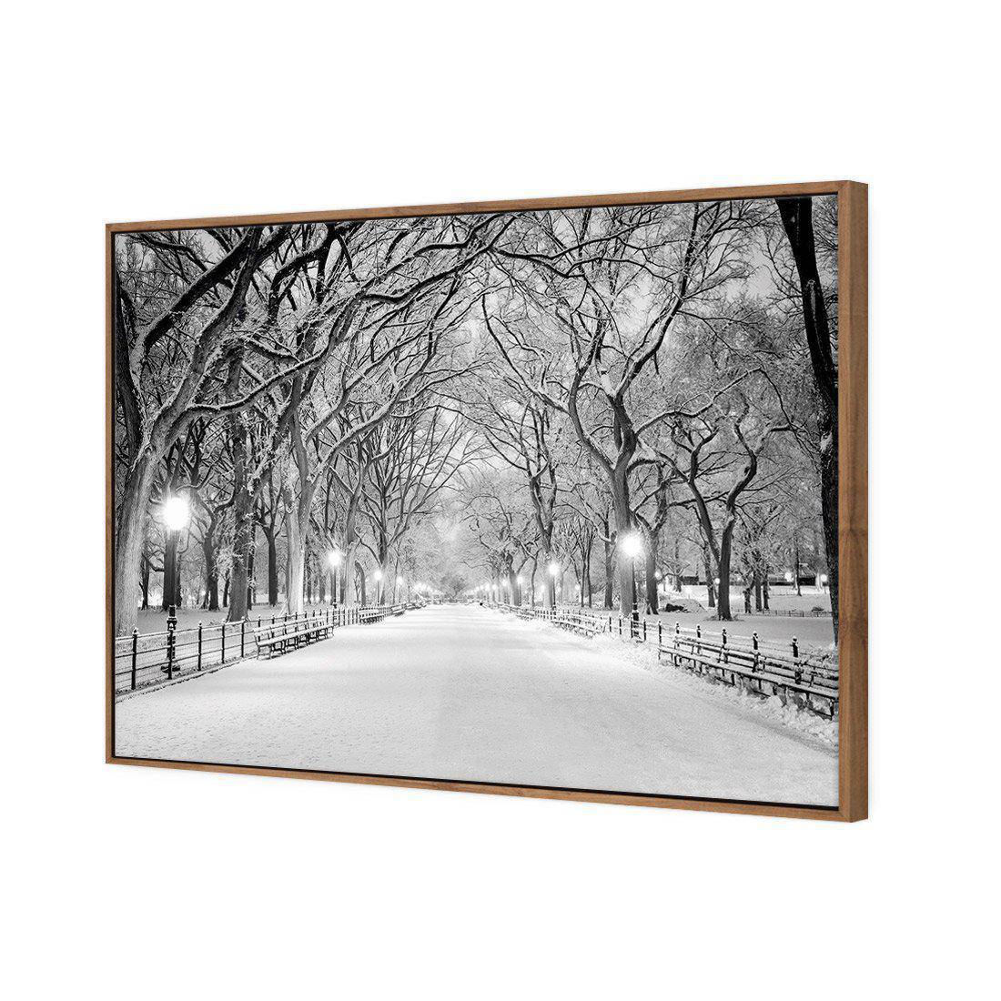 Central Park Dawn in Snow | Classic Canvas | Floating Frame | Natural