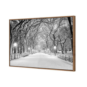 Central Park Dawn in Snow | Classic Canvas | Floating Frame | Natural