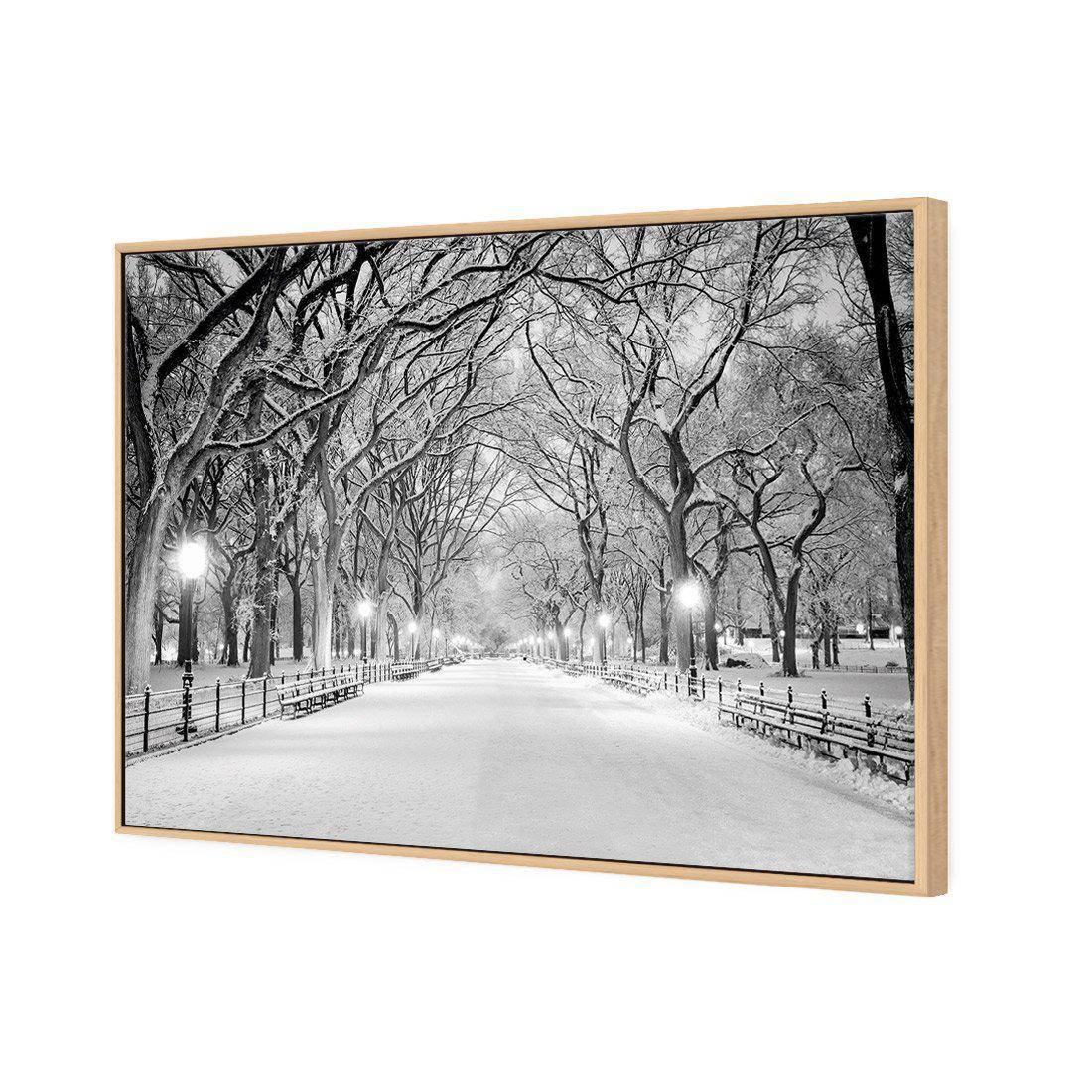 Central Park Dawn in Snow | Classic Canvas | Floating Frame | Oak