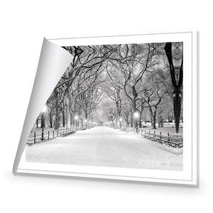 Central Park Dawn in Snow | Classic Canvas | No Frame | Rolled Canvas
