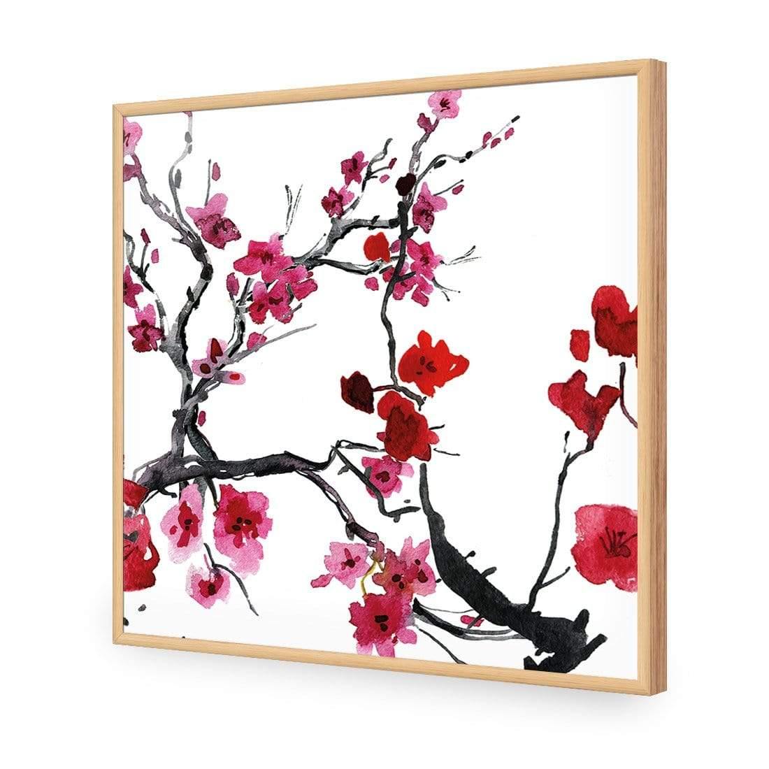 Cherry Blossom (square) - Wall Art Designs - 2156_AS_Q WAD_AP - 030 - EDG_37x37_S - 2538 - OAK