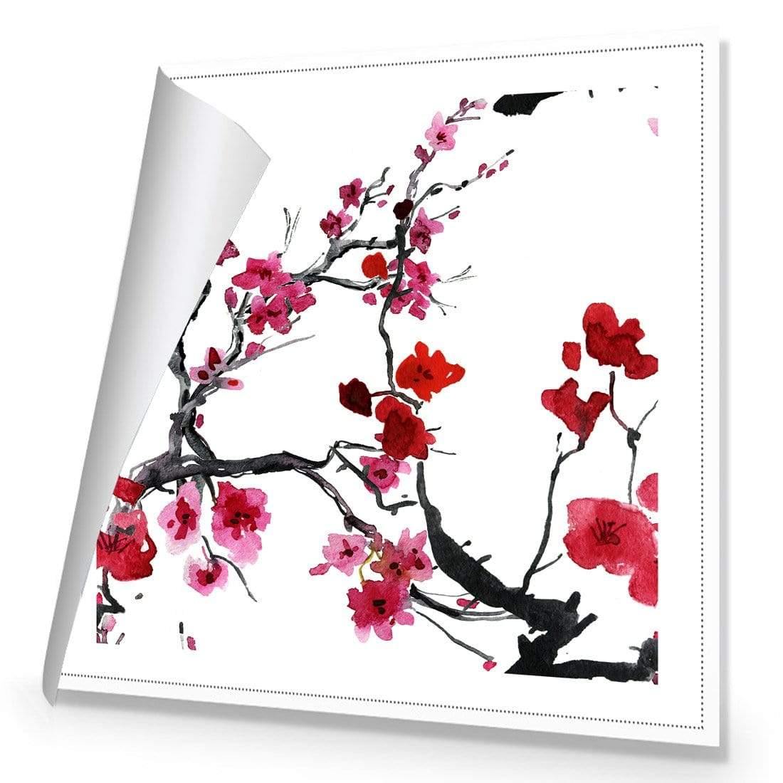 Cherry Blossom (square) - Wall Art Designs - 2156_AS_Q WAD_CP - MPY - 260 - M - R_37x37_NONE