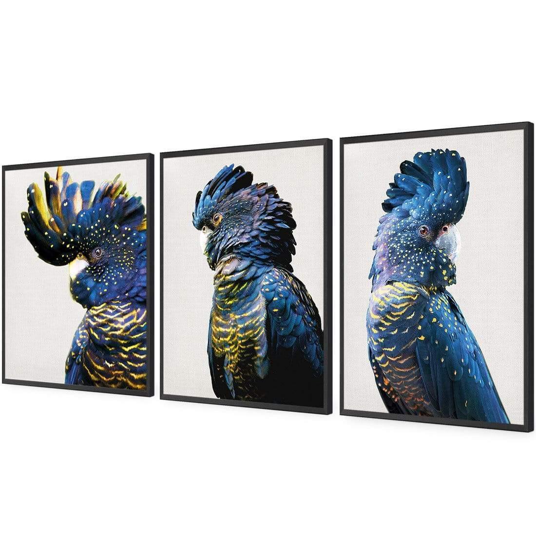 Cockatoos Trio Art Set - Wall Art Designs - SET3_5035_AR_V WAD_AP - 030 - EDG_59x40_S - 2538 - BLK